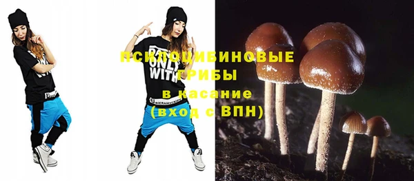 ПСИЛОЦИБИНОВЫЕ ГРИБЫ Гусь-Хрустальный