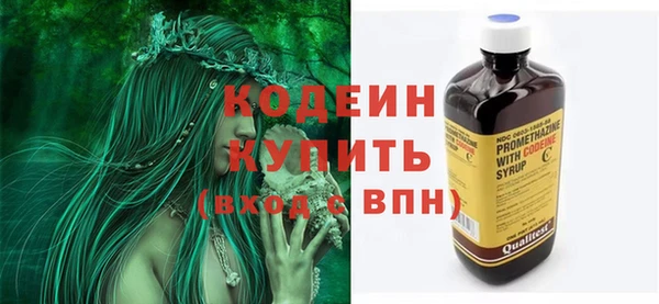 ПСИЛОЦИБИНОВЫЕ ГРИБЫ Гусь-Хрустальный