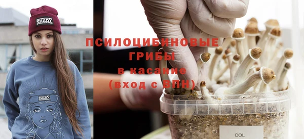 марихуана Гусиноозёрск