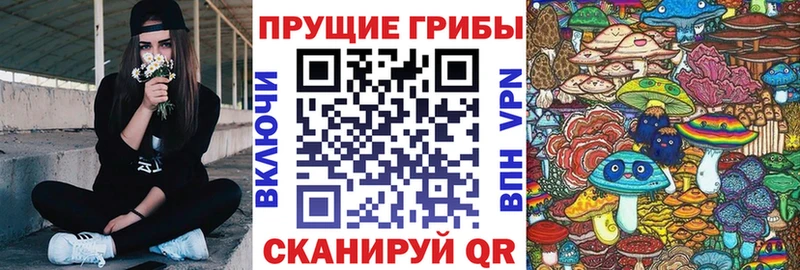 Галлюциногенные грибы Cubensis  MEGA ONION  Канск  что такое наркотик 