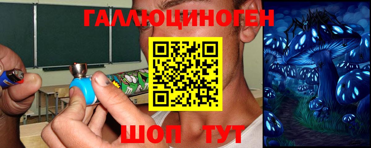 Канск  Галлюциногенные грибы Magic Shrooms  Вход с VPN 