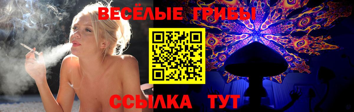 Галлюциногенные грибы мицелий Канск