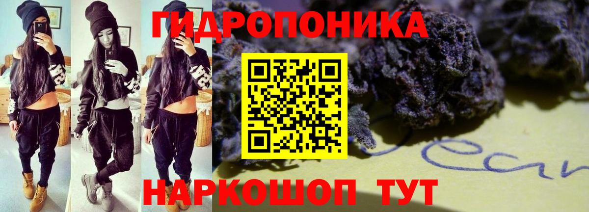 Каннабис гибрид Канск